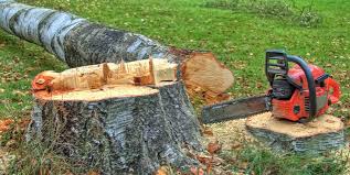 Best Stump Grinding and Removal  in Toftrees, PA